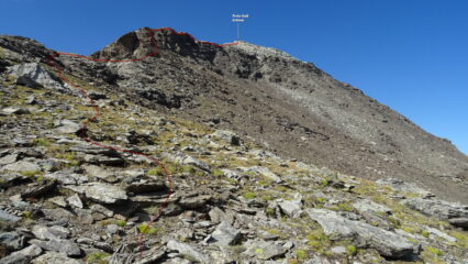 In rosso la traccia.