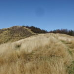 Scendendo dal Gottero ad est