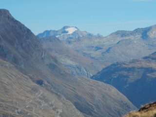 sullo sfondo il Gran Paradiso