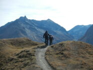 single track divertente