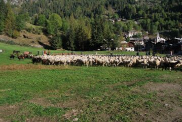 Desarpa a Champorcher, sempre un’attrazione