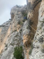3a calata