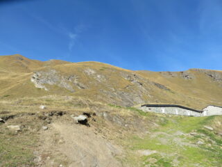 Tza Ansermin