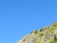 aeroplanino