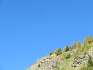 aeroplanino