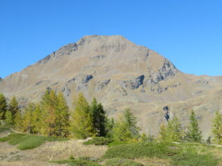 Fallère