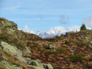 lo splendido terrazzo prima di col Faveroy (con vista sul Cervino)