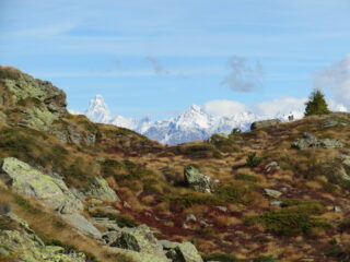 lo splendido terrazzo prima di col Faveroy (con vista sul Cervino)