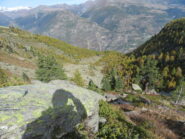 da Col Faveroy verso gli Alpeggi omonimi