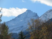 Grivola