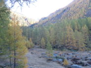 Orgère