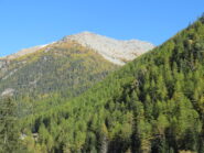 Chermontane