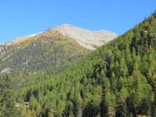 Chermontane