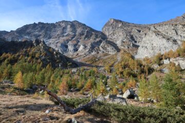 Lungo il sentiero n°4