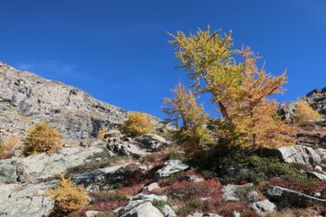 Scendendo dal Raye Chevrere