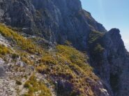 Le vaghe tracce che costituiscono le 