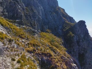 Le vaghe tracce che costituiscono le 