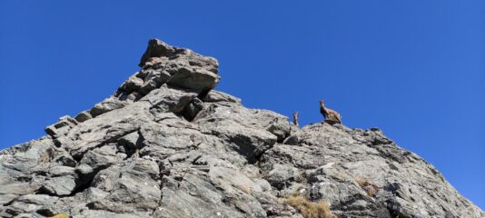 le difficoltà finali