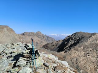 Punta di Mezove. Sullo sfondo il gruppo integrale del Monte Rosa.