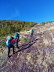all'uscita dal bosco 