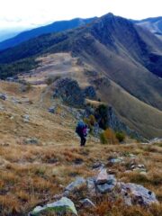 salendo al Bertrand