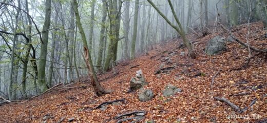 Sentiero per il Monte Armetta 