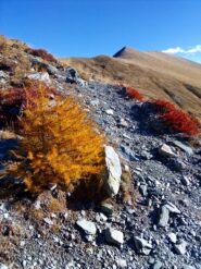 Il Tibert salendo al Colle Intersile  Sud