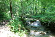 Sentiero accanto al Torrente Potravaram