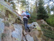 In salita sul costone boscoso