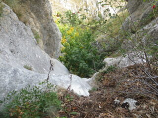 il III° salto
