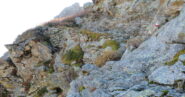 Salendo al Colle del Trione