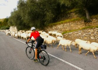 Controcorrente al Ginestro