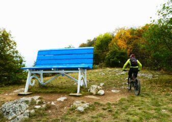 Big Bench