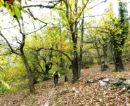 Discesa finale su Moiola