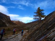 Vallone del sibolet