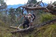 Qualche piccolo problema...