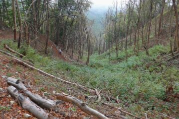 Scendendo  nel vallone