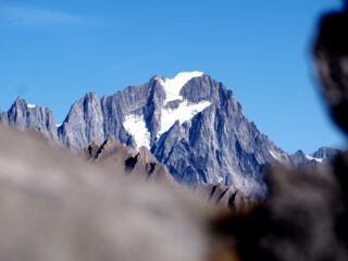 Le Jorasses viste dalla panchina!