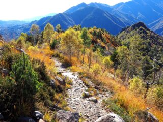 Si iniziano e vedere i colori dell'autunno.