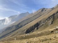 Sullo sfondo il Rocciamelone dal sentiero balcone 