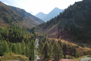 Vallone di Bardoney scendendo a Lillaz