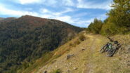 Verso Cima Vescovo