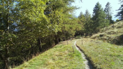 discesa dal colle Bettone, sul P.O.