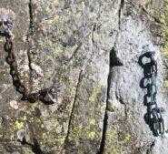 Il vecchio e il nuovo a confronto