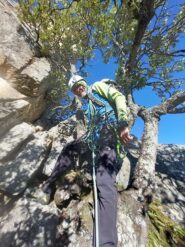 sosta su albero