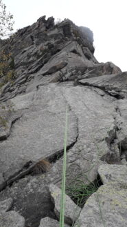 la liscia placca appoggiata di L2..