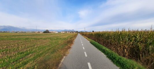 Lungo la ciclabile delle Risorgive