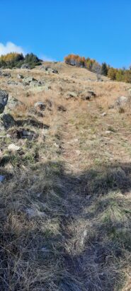 dorsale erbosa verso il Monte Corso del Cavallo