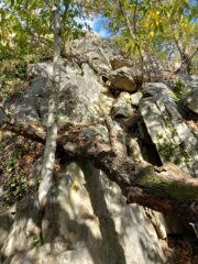 l'inizio della seconda parte, su cui è caduto un albero