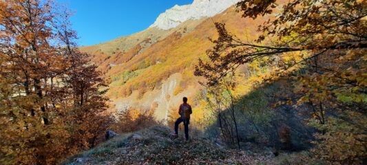 I faggi nel loro massimo splendore
